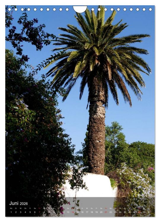 Produktbild: Sidi bou Sa&iuml;d - Die blaue Stadt Tunesiens (Wandkalender 2026 DIN A4 hoch), CALVENDO Monatskalender