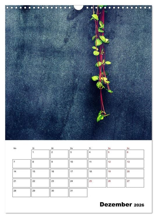 Produktbild: Mauerbl&uuml;mchen - Poesie im Allt&auml;glichen als Monatsplaner (Wandkalender 2026 DIN A3 hoch), CALVENDO Monatskalender
