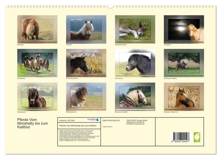 Produktbild: Pferde Vom Minishetty bis zum Kaltblut (hochwertiger Premium Wandkalender 2026 DIN A2 quer), Kunstdruck in Hochglanz