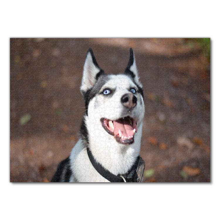 Produktbild: Lais Puzzle Husky 1000 Teile