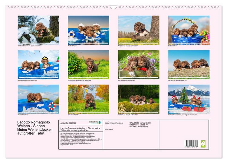 Produktbild: Lagotto Romagnolo Welpen - Sieben kleine Weltentdecker auf gro&szlig;er Fahrt (Wandkalender 2026 DIN A2 quer), CALVENDO Monatskalender