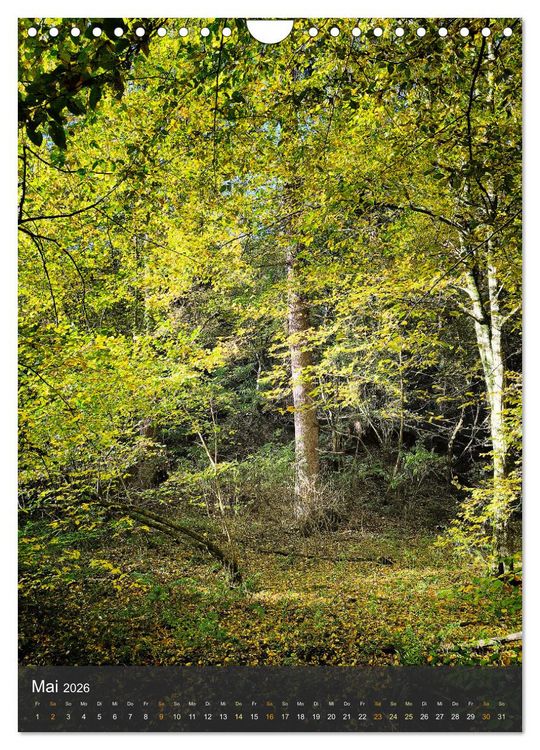 Produktbild: Eifel Traumpfad H&ouml;hlen- und Schluchtenstieg (Wandkalender 2026 DIN A4 hoch), CALVENDO Monatskalender