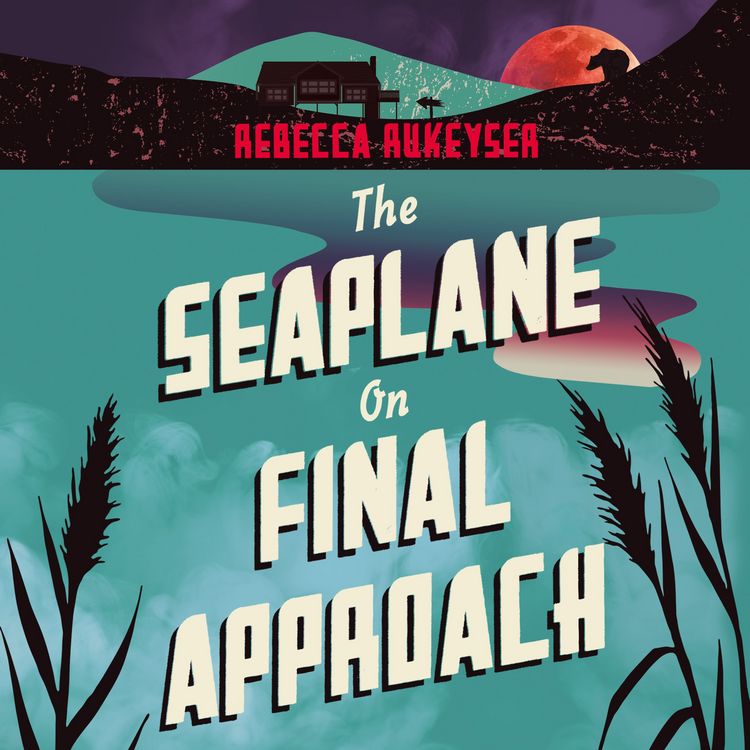 Produktbild: The Seaplane on Final Approach