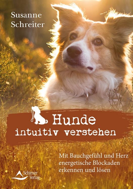 Produktbild: Hunde intuitiv verstehen
