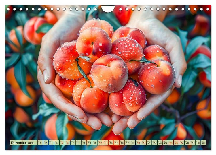 Produktbild: Erntegl&uuml;ck - Eine handvoll s&uuml;&szlig;er Fr&uuml;chte zum Anbei&szlig;en (Wandkalender 2026 DIN A4 quer), CALVENDO Monatskalender