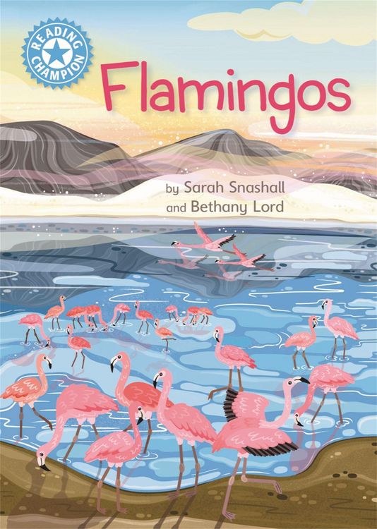Produktbild: Reading Champion: Flamingos