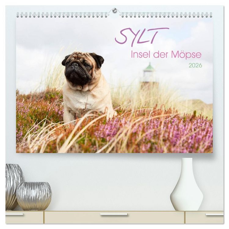 Produktbild: Sylt - Insel der M&ouml;pse (hochwertiger Premium Wandkalender 2026 DIN A2 quer), Kunstdruck in Hochglanz