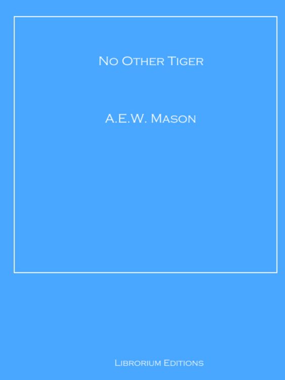 Produktbild: No Other Tiger