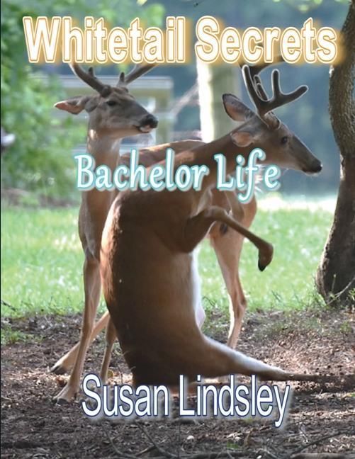 Produktbild: Whitetail Secrets: Bachelor Life