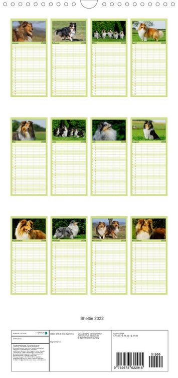 Produktbild: Sheltie 2022 - Familienplaner hoch (Wandkalender 2022 , 21 cm x 45 cm, hoch)