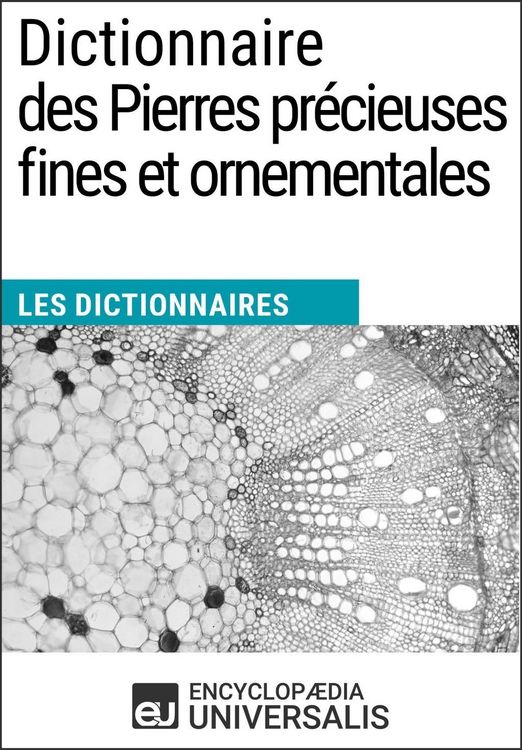 Produktbild: Dictionnaire des Pierres pr&eacute;cieuses fines et ornementales