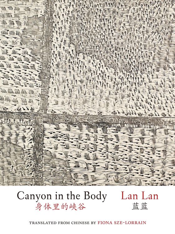 Produktbild: Canyon in the Body (English and Simplified Chinese)