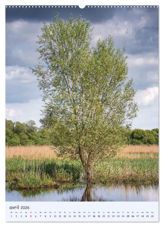 Produktbild: Arbres solitaires (Calendrier mural 2026 DIN A2 horizontal) calendrier de bureau