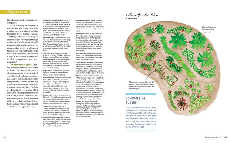 Produktbild: Groundbreaking Food Gardens