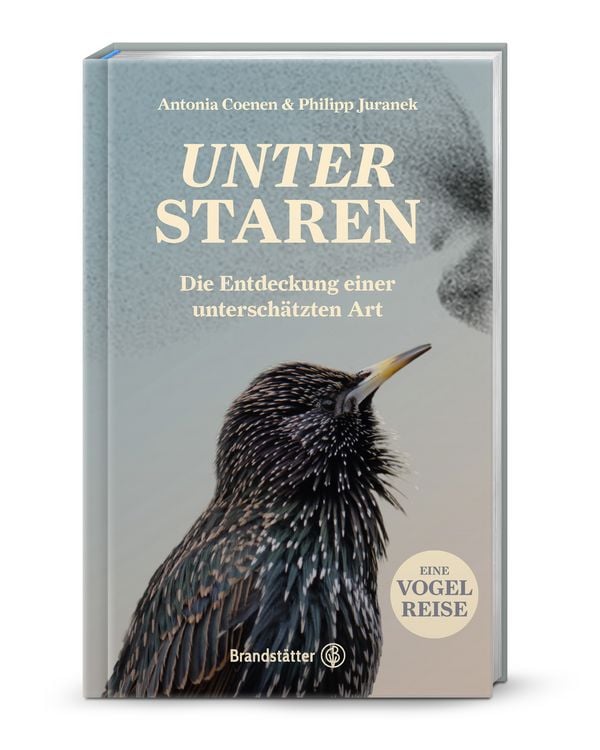 Produktbild: Unter Staren