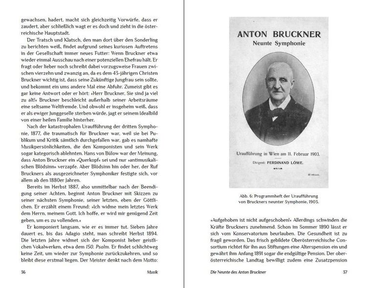 Produktbild: Die Unvollendeten
