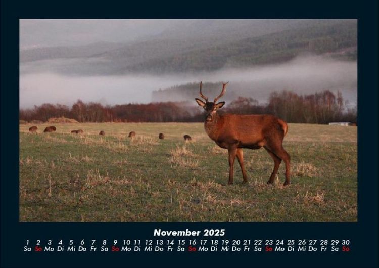 Produktbild: Naturlandschaften 2025 Fotokalender DIN A4