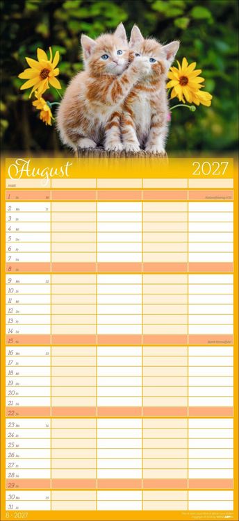 Produktbild: Cool Cats Familienplaner 2027