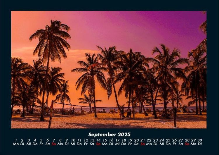 Produktbild: Palmentraum 2025 Fotokalender DIN A4