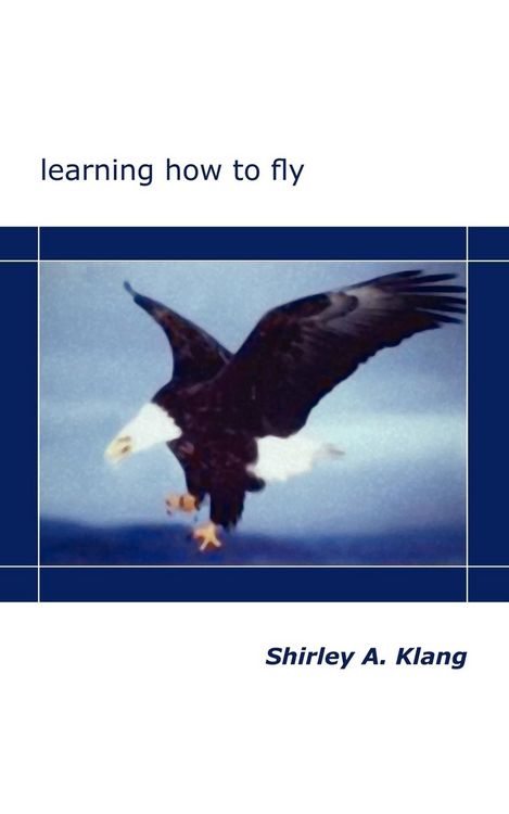 Produktbild: Learning How to Fly