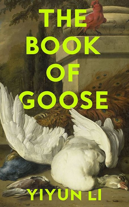 Produktbild: The Book of Goose