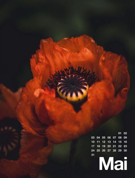 Produktbild: Fr&uuml;hling, Sommer, Herbst & Winter Kalender 2027