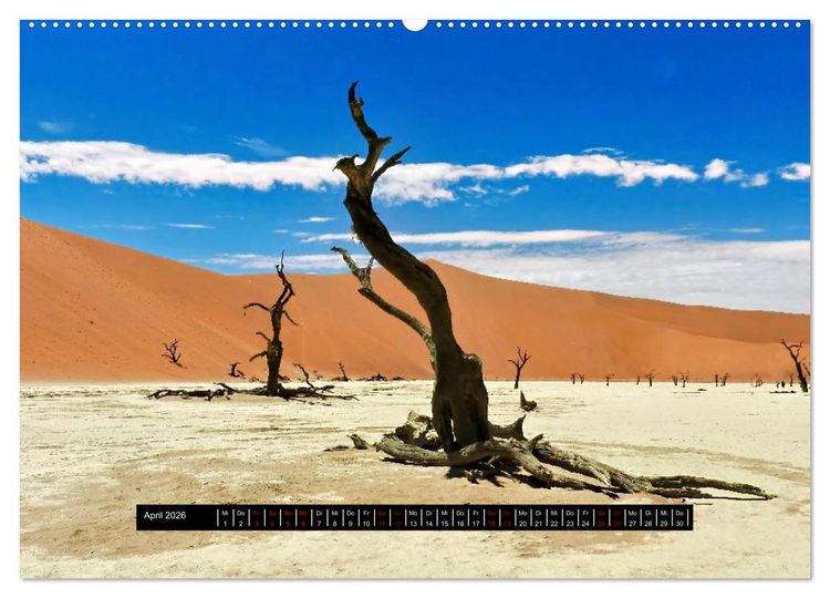 Produktbild: Afrika - Vielfalt in Flora und Fauna (Wandkalender 2026 DIN A2 quer), CALVENDO Monatskalender