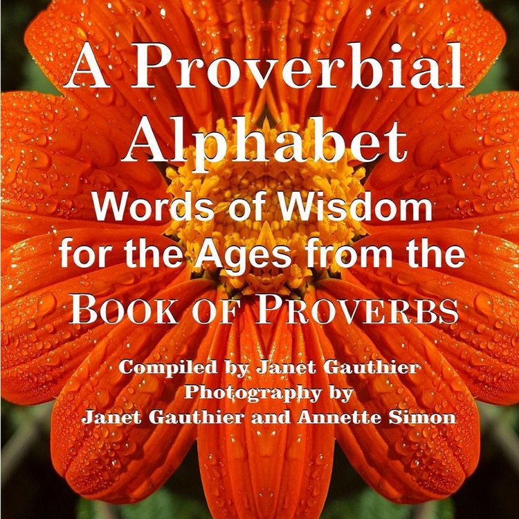 Produktbild: A Proverbial Alphabet