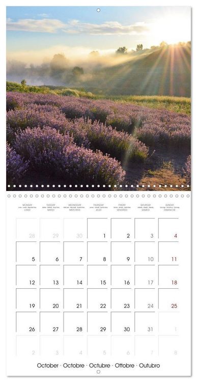 Produktbild: Fantastic shots of France (Wall Calendar 2026 12 &times; 12 Inch) CALVENDO 12 Month Wall Calendar