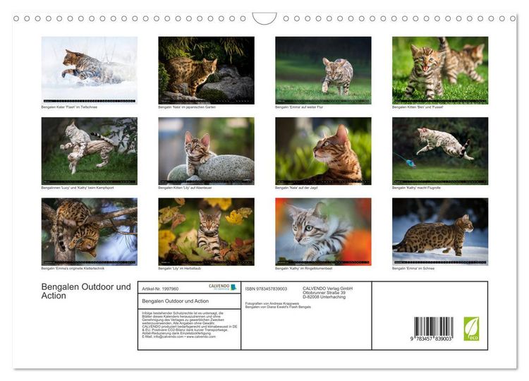 Produktbild: Bengalen Outdoor und Action (Wandkalender 2026 DIN A3 quer), CALVENDO Monatskalender