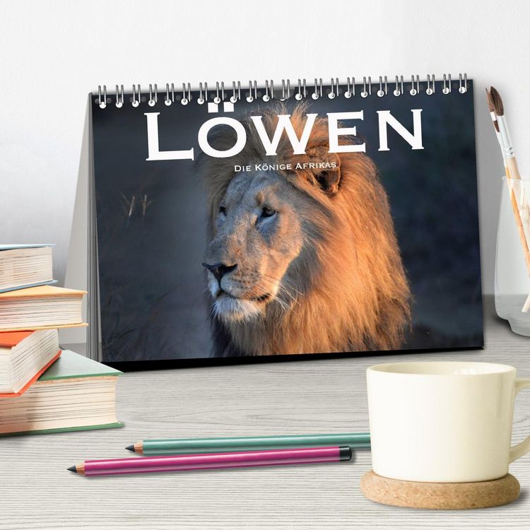 Produktbild: L&ouml;wen. Die K&ouml;nige Afrikas (Tischkalender 2026 DIN A5 quer), CALVENDO Monatskalender