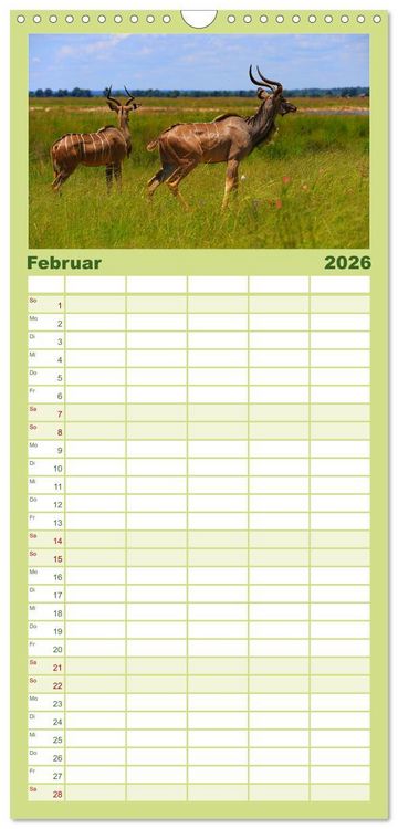 Produktbild: Familienplaner 2026 - Botswana- Pirschfahrt mit Garantie auf Wildlife mit 5 Spalten (Wandkalender, 21 x 45 cm) CALVENDO