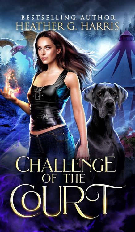 Produktbild: Challenge of the Court