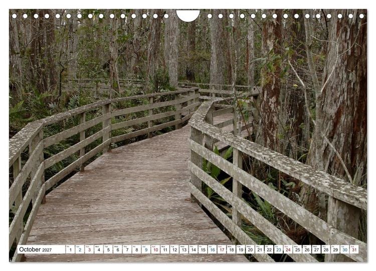 Produktbild: Sunshine State Florida Nature, Wildlife, National Parks (Wall Calendar 2027 DIN A4 landscape), CALVENDO 12 Month Wall Calendar