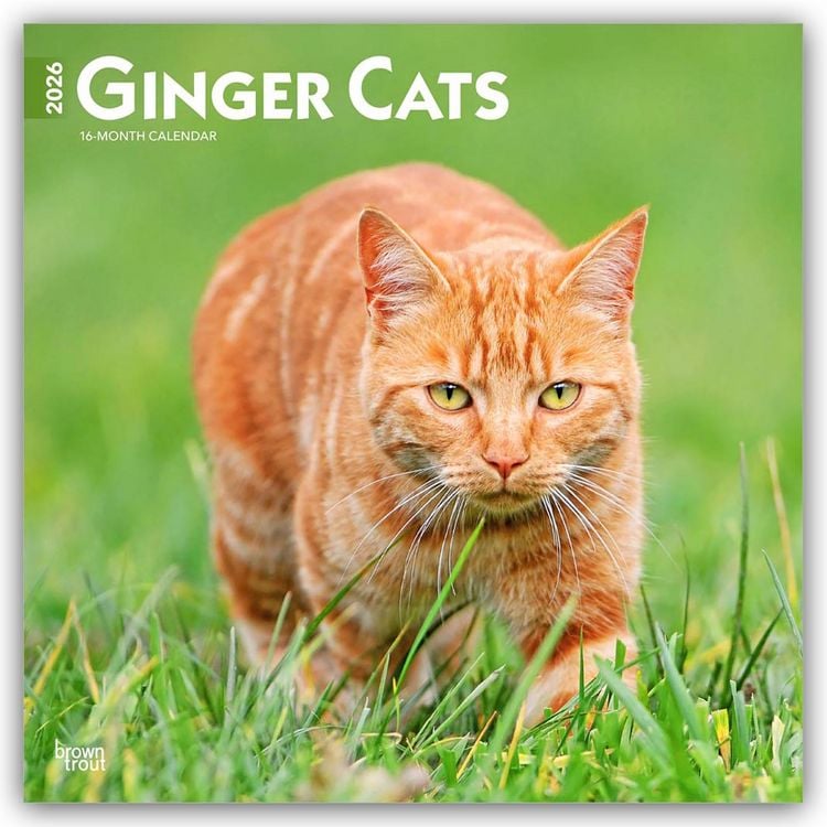 Produktbild: Ginger Cats &ndash; Gingerkatzen &ndash; Rote Katzen 2026 &ndash; 16-Monatskalender