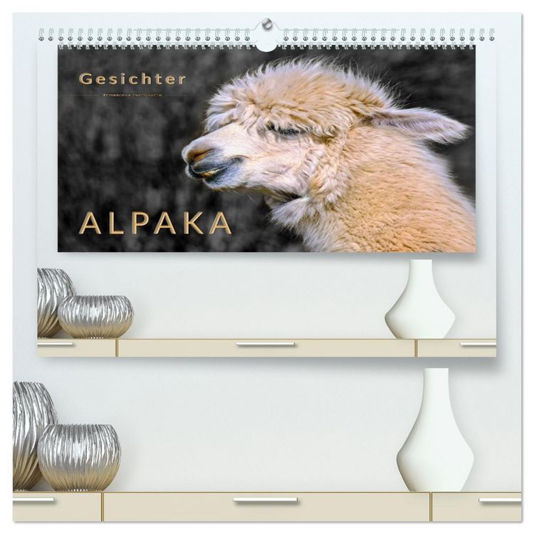 Produktbild: Alpaka Gesichter (hochwertiger Premium Wandkalender 2026 DIN A2 quer), Kunstdruck in Hochglanz