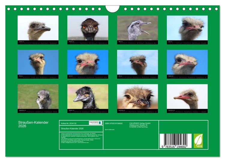 Produktbild: Strau&szlig;en-Kalender 2026 (Wandkalender 2026 DIN A4 quer), CALVENDO Monatskalender