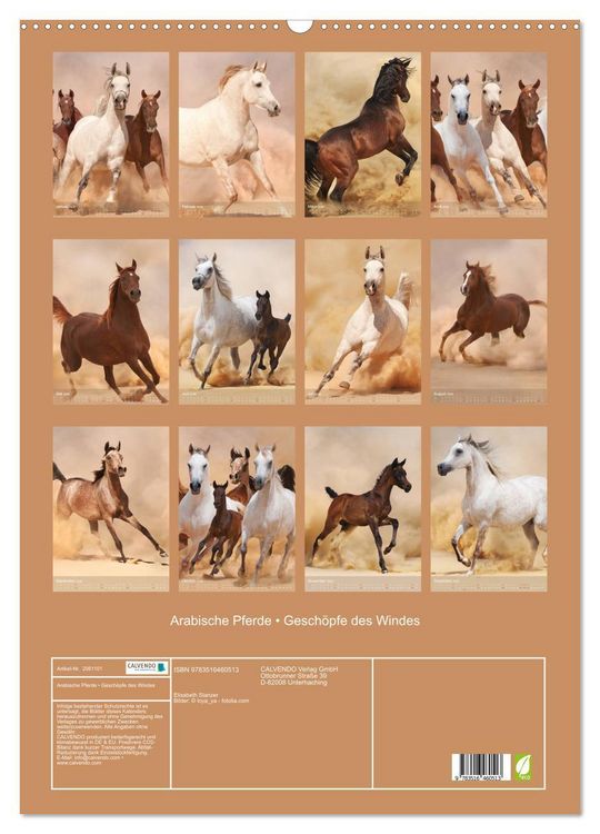 Produktbild: Arabische Pferde &bull; Gesch&ouml;pfe des Windes (Wandkalender 2026 DIN A2 hoch), CALVENDO Monatskalender
