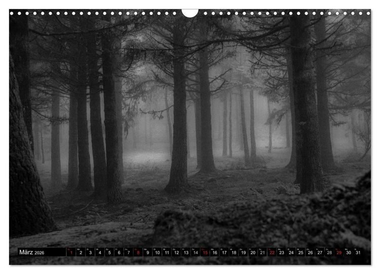 Produktbild: Stille Momente in Schwarz-Weiss (Wandkalender 2026 DIN A3 quer), CALVENDO Monatskalender