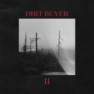 Produktbild: Dirt Buyer II