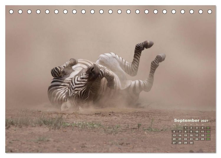 Produktbild: WILDE TIERE IN AKTION (Tischkalender 2027 DIN A5 quer), CALVENDO Monatskalender