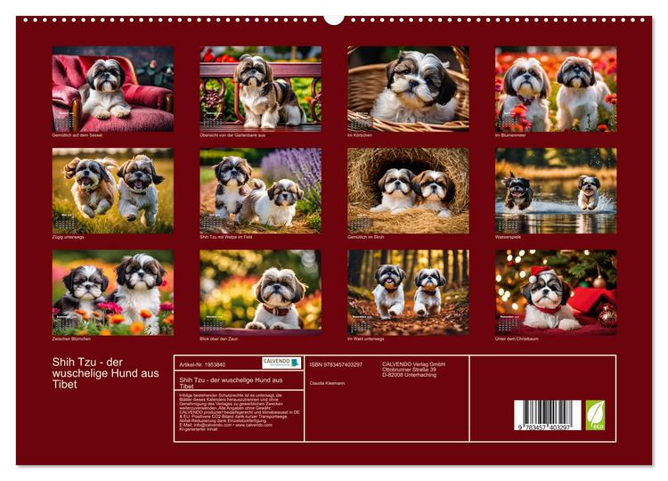 Produktbild: Shih Tzu - der wuschelige Hund aus Tibet (hochwertiger Premium Wandkalender 2026 DIN A2 quer), Kunstdruck in Hochglanz