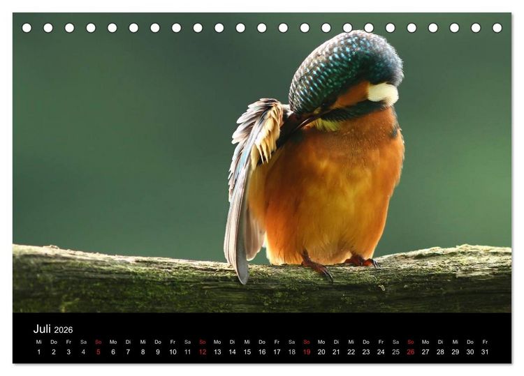 Produktbild: IM LAND DER EISV&Ouml;GEL (Tischkalender 2026 DIN A5 quer), CALVENDO Monatskalender