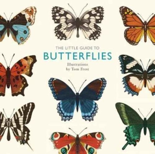 Produktbild: Davies, A: The Little Guide to Butterflies