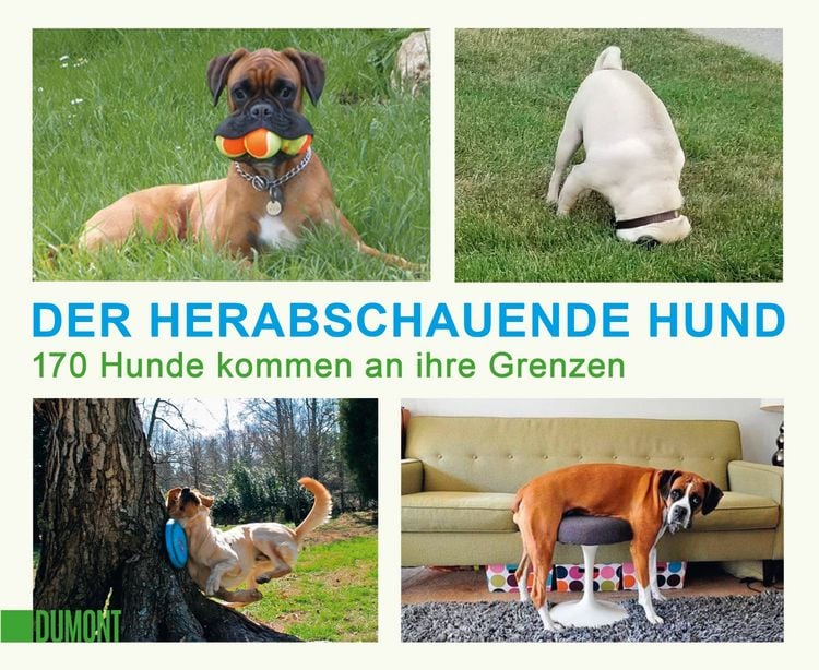 Produktbild: Der herabschauende Hund