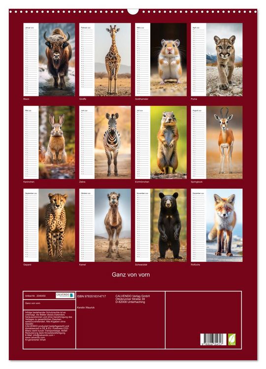 Produktbild: Ganz von vorn (Wandkalender 2026 DIN A2 hoch), CALVENDO Monatskalender