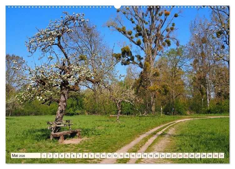 Produktbild: Vom Ried an die Bergstra&szlig;e, durch den Odenwald ins Neckartal (hochwertiger Premium Wandkalender 2026 DIN A2 quer), Kunstdruck in Hochglanz