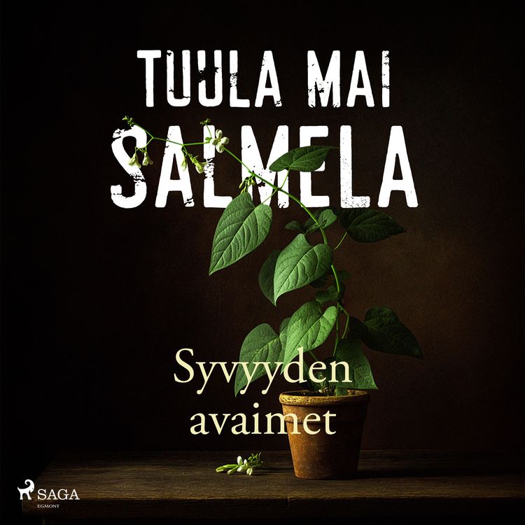 Produktbild: Syvyyden avaimet