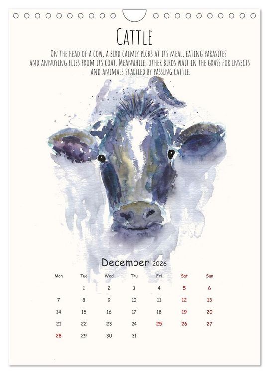 Produktbild: Symbiosis, the story of collaborations in nature (Wall Calendar 2026 DIN A4 portrait), CALVENDO 12 Month Wall Calendar