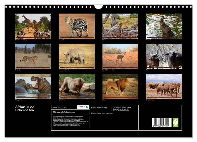 Produktbild: Afrikas wilde Sch&ouml;nheiten (Wandkalender 2026 DIN A3 quer), CALVENDO Monatskalender
